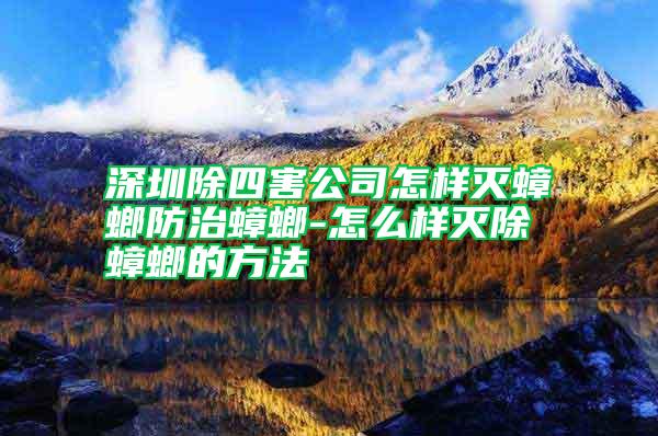 深圳除四害公司怎樣滅蟑螂防治蟑螂-怎么樣滅除蟑螂的方法